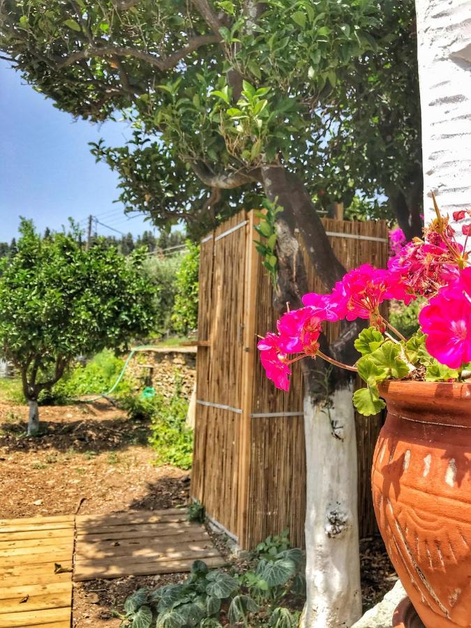 Lámira The Walnut Tree - Cycladic Getaway With Sea Views By Explore Andros מראה חיצוני תמונה